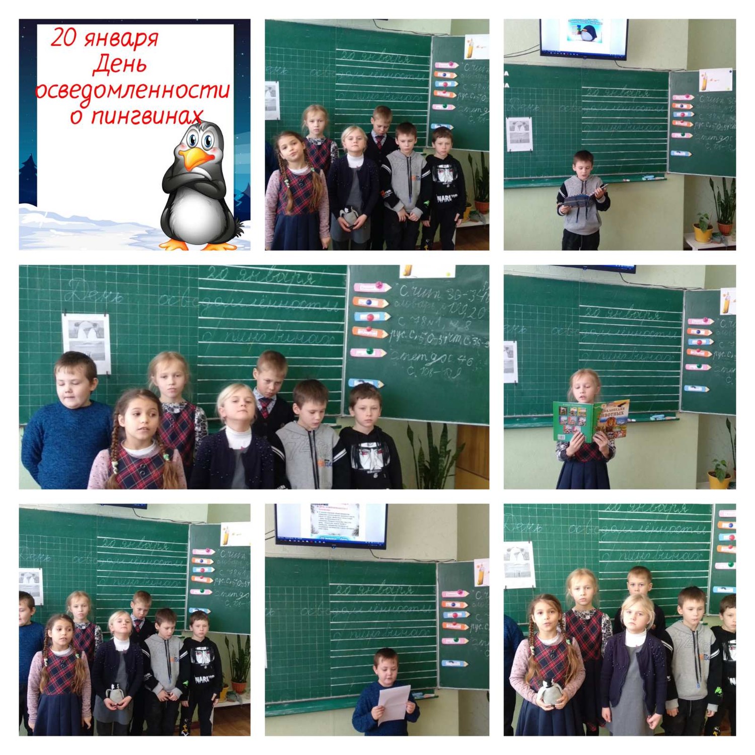 Познавательное путешествие к пингвинам